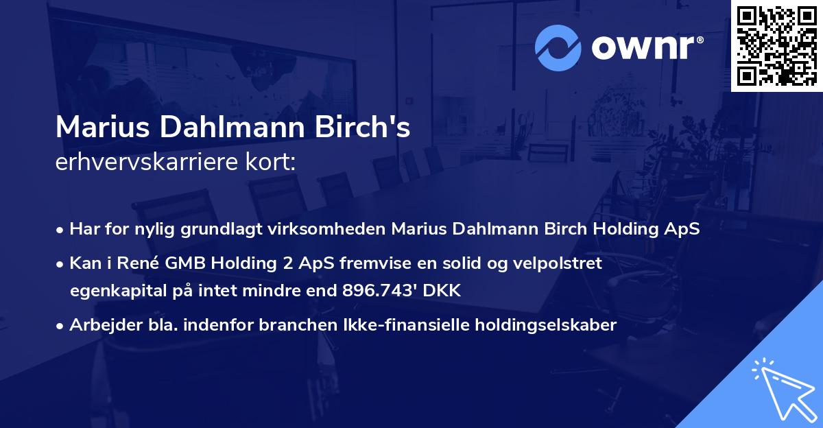 Marius Dahlmann Birch's erhvervskarriere kort