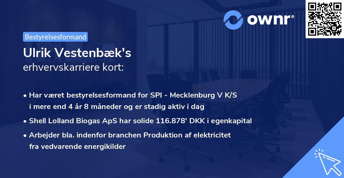 Ulrik Vestenbæk's erhvervskarriere kort