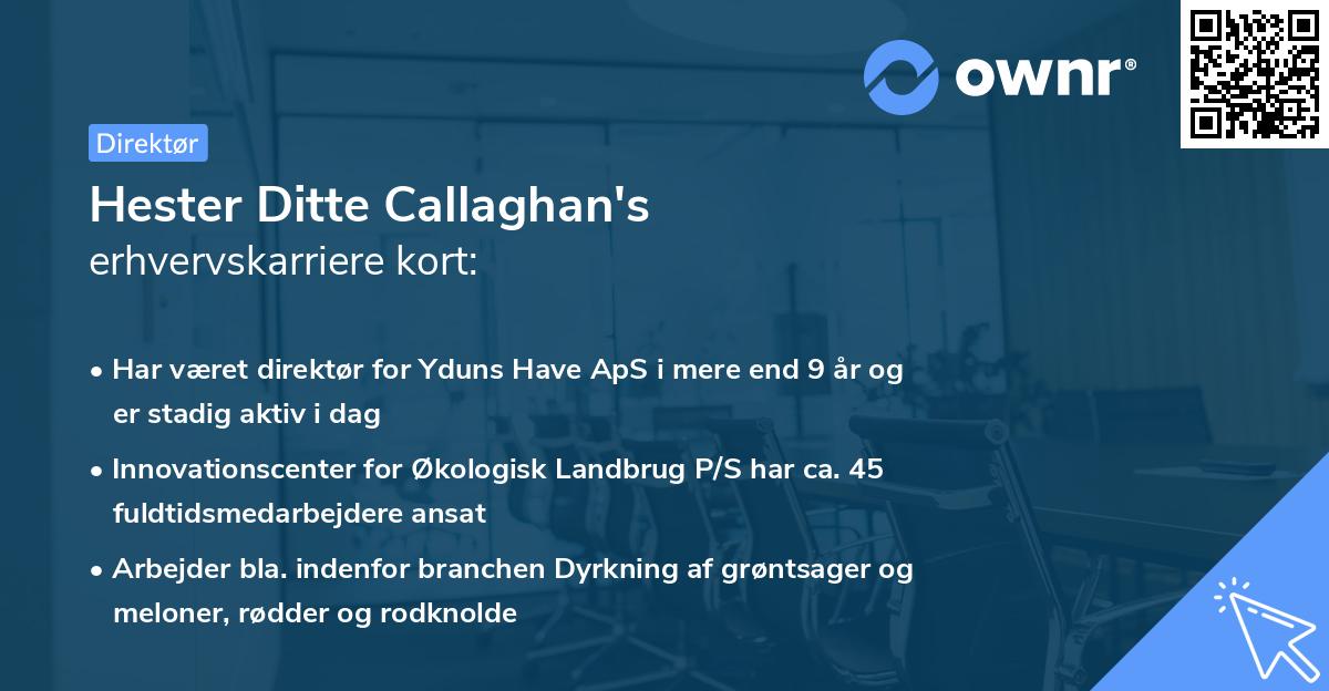 Hester Ditte Callaghan's erhvervskarriere kort