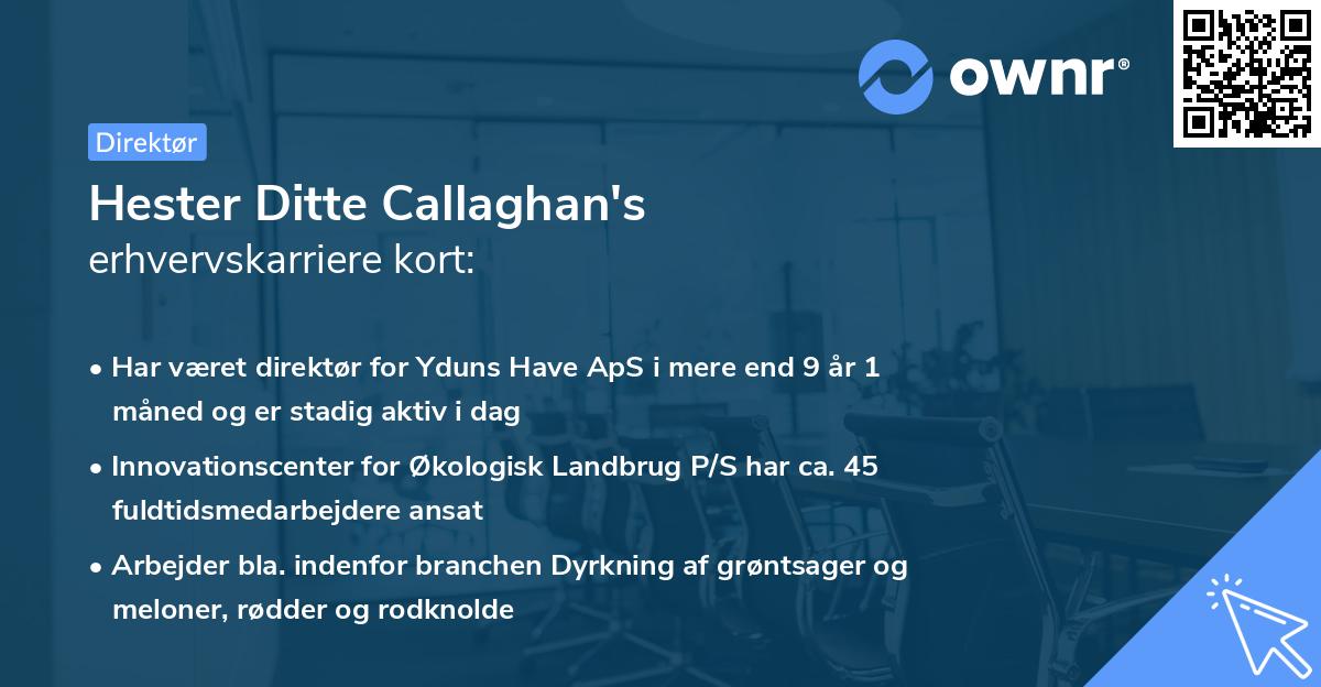 Hester Ditte Callaghan's erhvervskarriere kort