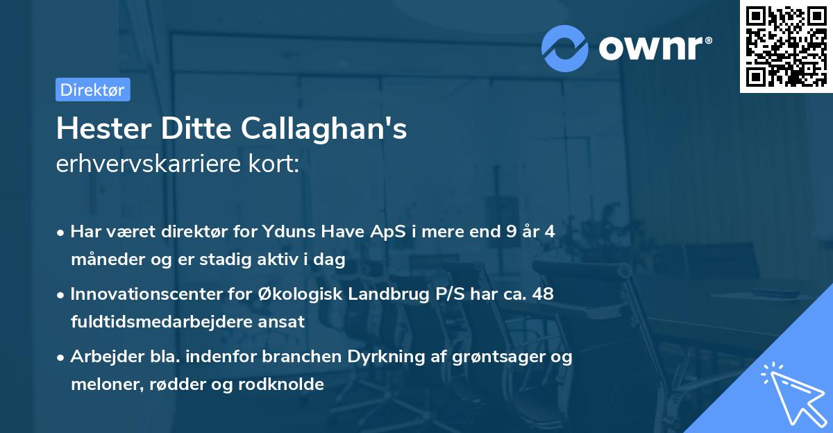 Hester Ditte Callaghan's erhvervskarriere kort