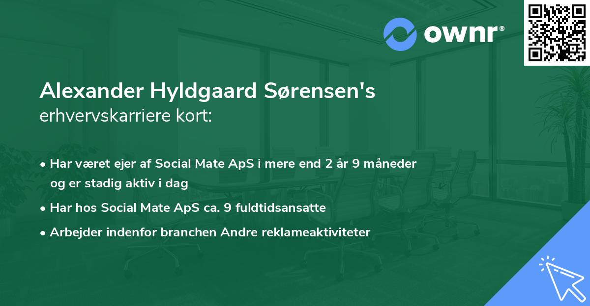 Alexander Hyldgaard Sørensen's erhvervskarriere kort