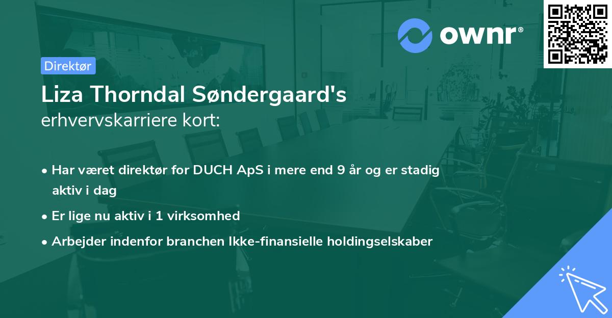 Liza Thorndal Søndergaard's erhvervskarriere kort