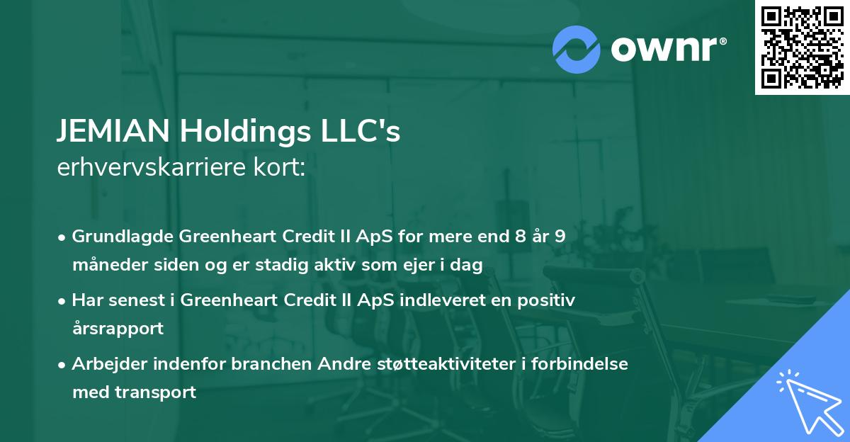JEMIAN Holdings LLC's erhvervskarriere kort