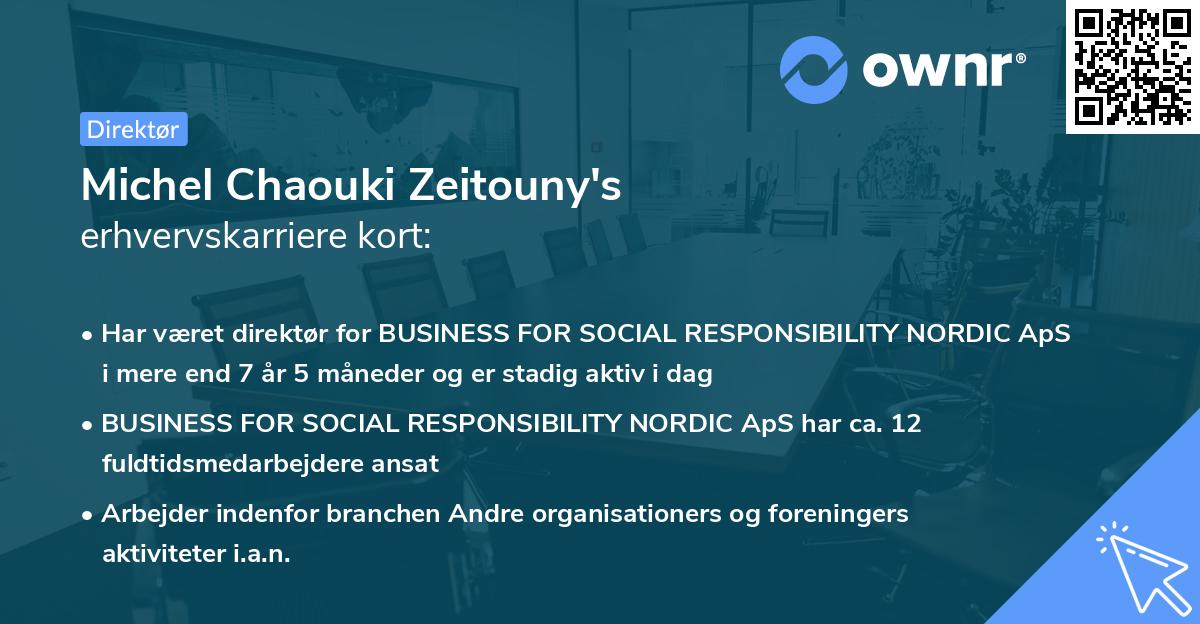 Michel Chaouki Zeitouny's erhvervskarriere kort