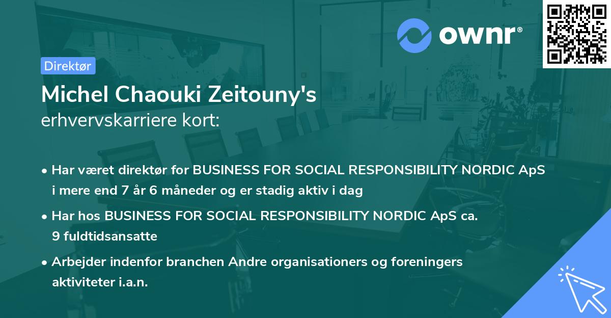 Michel Chaouki Zeitouny's erhvervskarriere kort