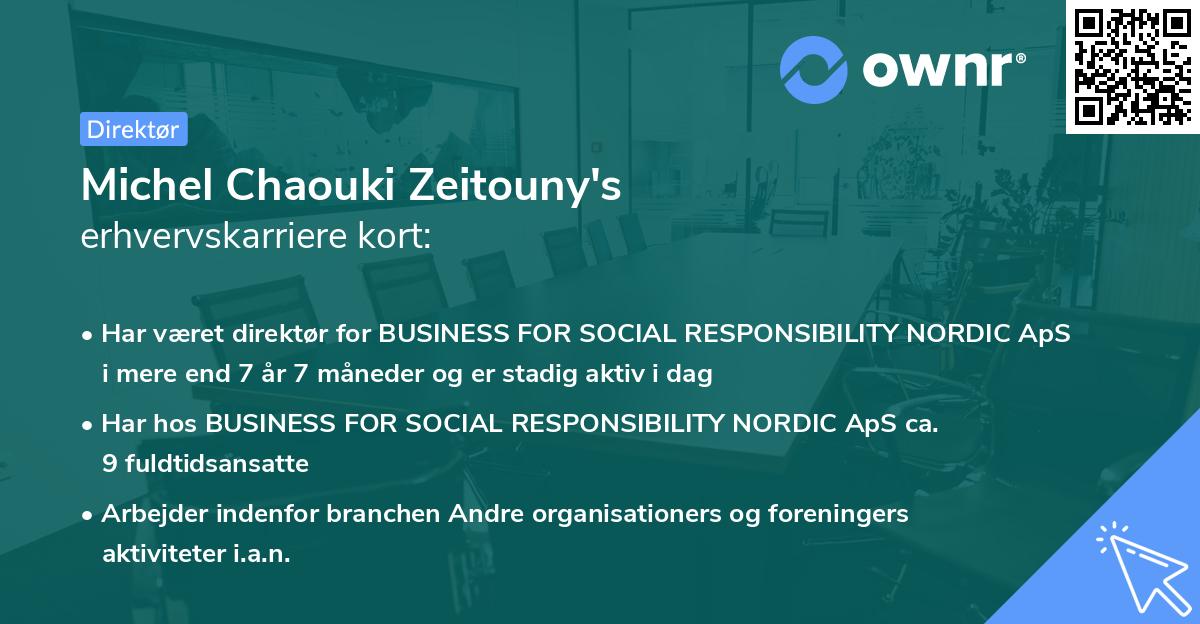 Michel Chaouki Zeitouny's erhvervskarriere kort