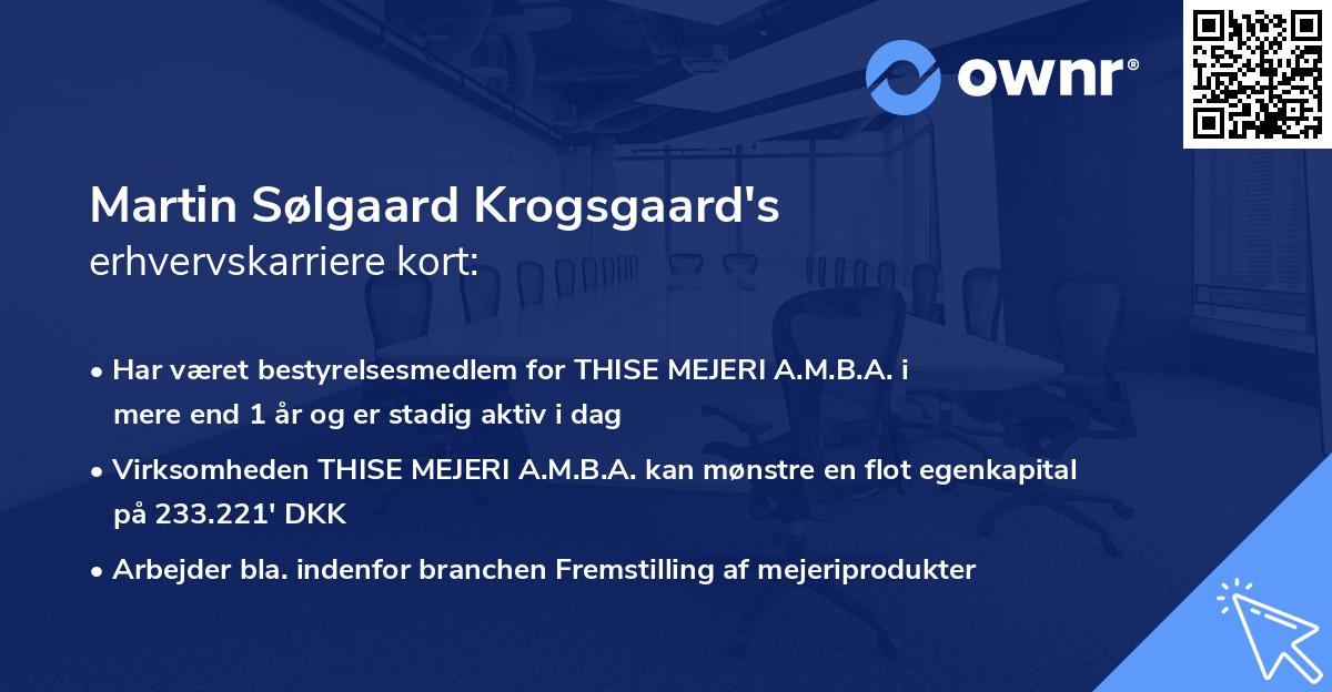 Martin Sølgaard Krogsgaard's erhvervskarriere kort