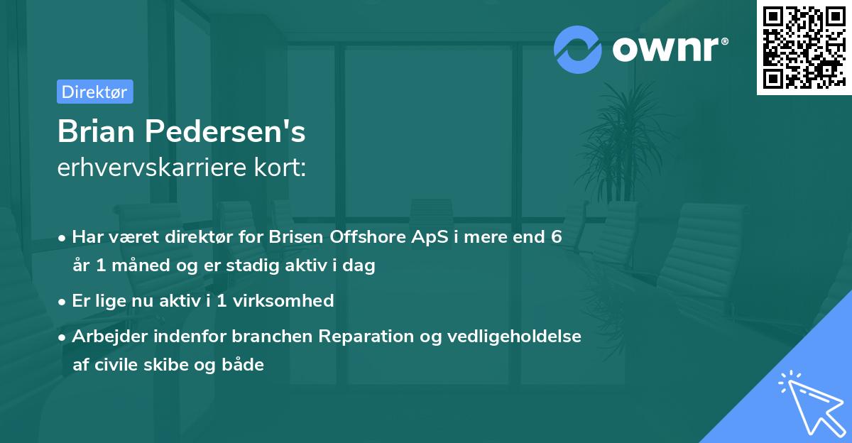 Brian Pedersen's erhvervskarriere kort