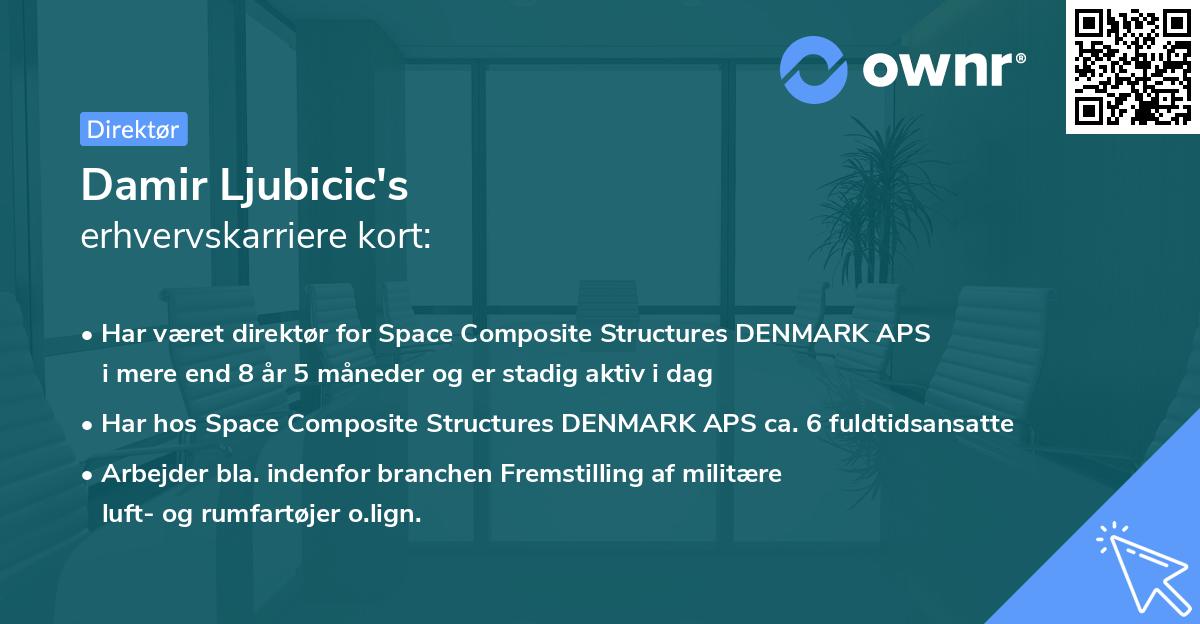 Damir Ljubicic's erhvervskarriere kort