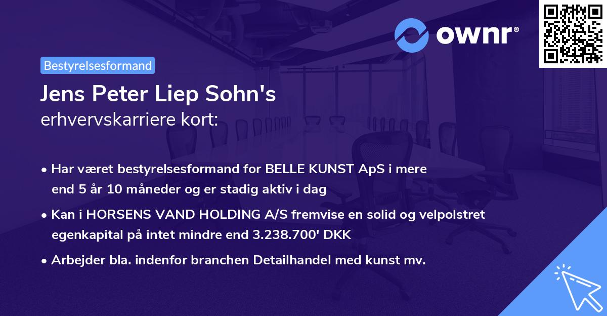Jens Peter Liep Sohn's erhvervskarriere kort