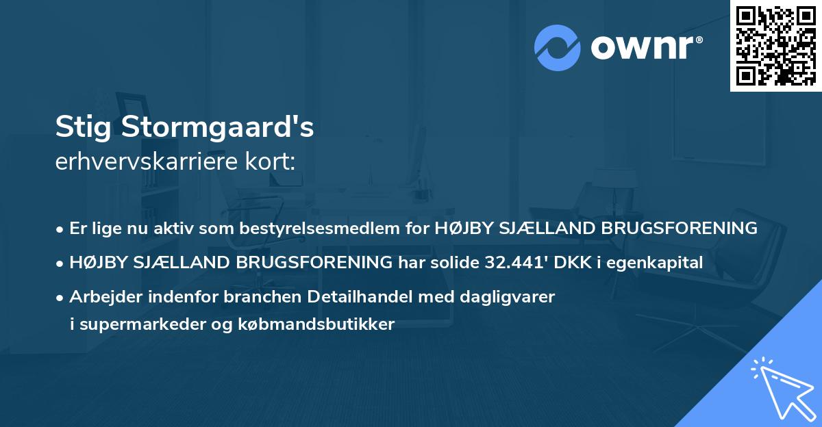 Stig Stormgaard's erhvervskarriere kort