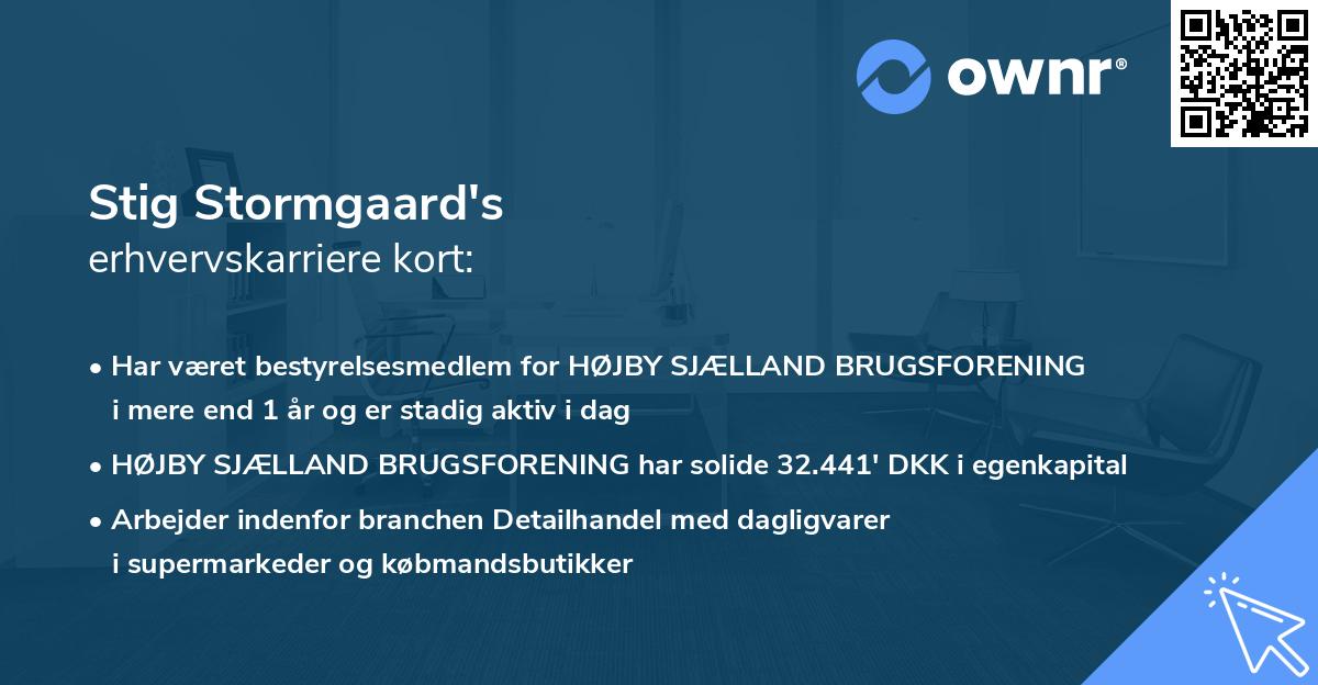 Stig Stormgaard's erhvervskarriere kort