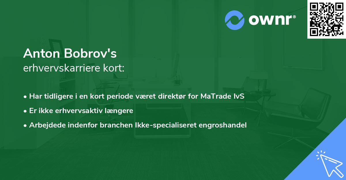 Anton Bobrov's erhvervskarriere kort