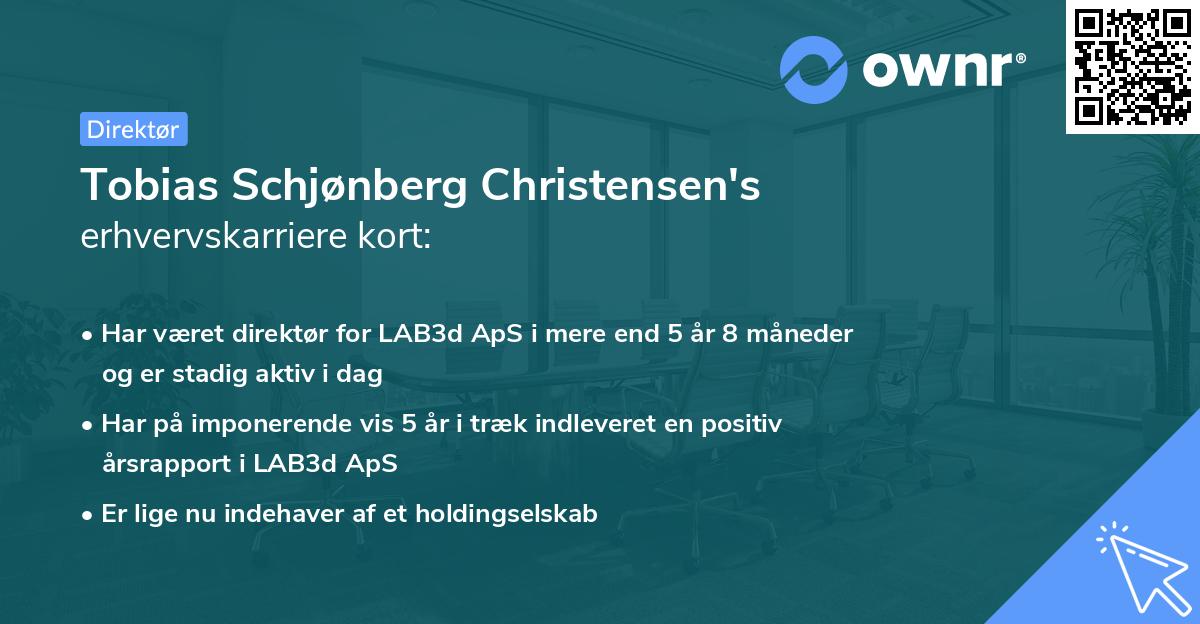 Tobias Schjønberg Christensen's erhvervskarriere kort