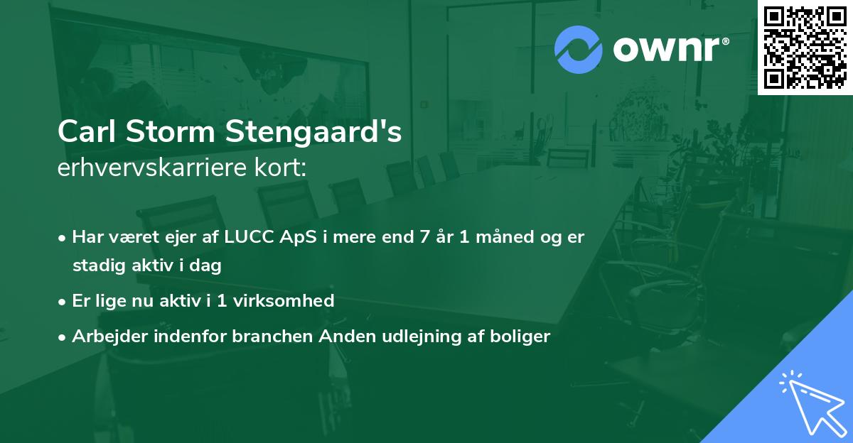 Carl Storm Stengaard's erhvervskarriere kort