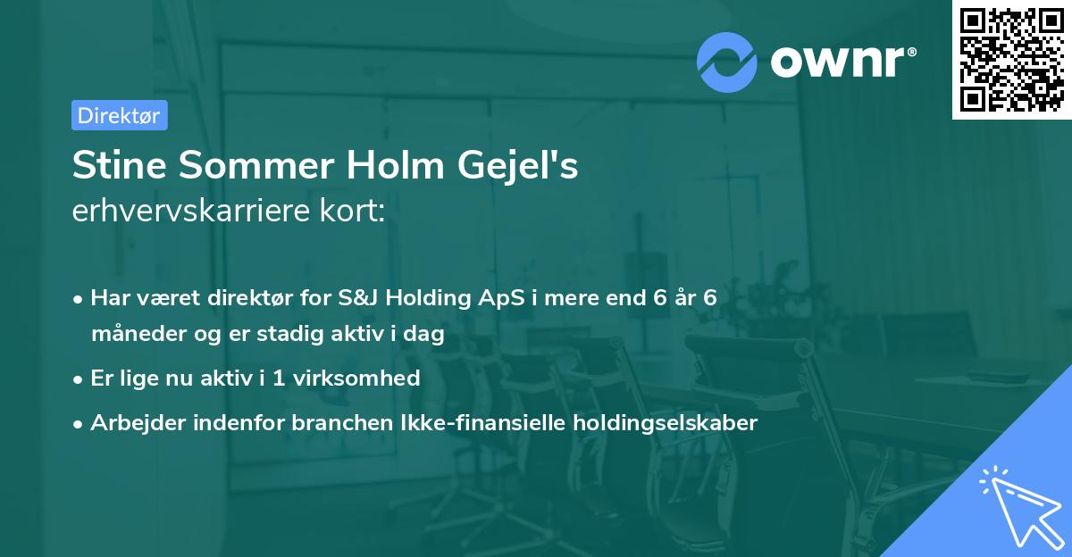 Stine Sommer Holm Gejel's erhvervskarriere kort