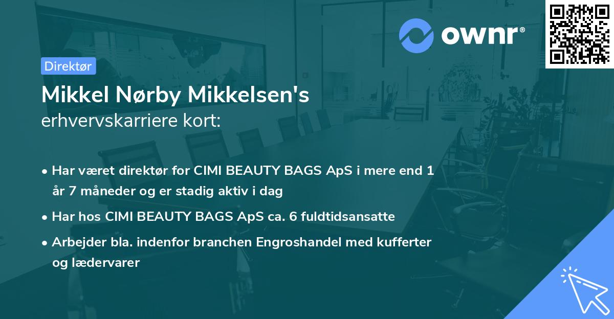 Mikkel Nørby Mikkelsen's erhvervskarriere kort