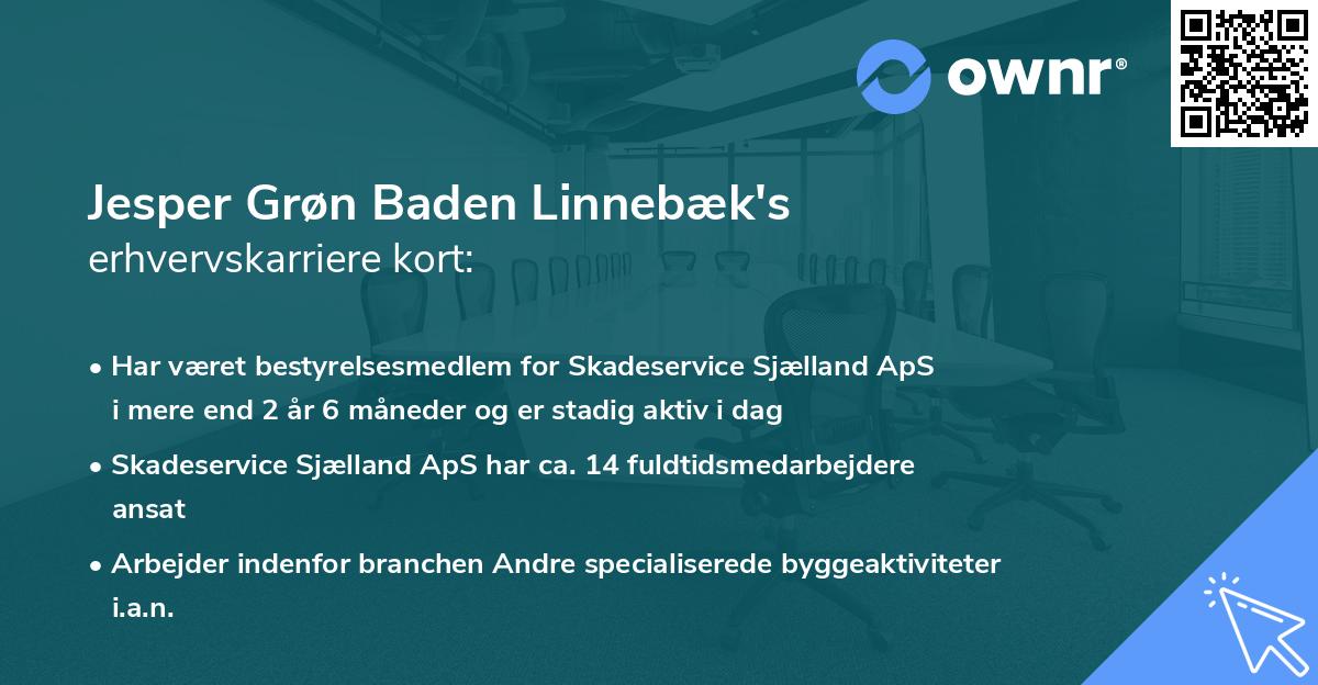 Jesper Grøn Baden Linnebæk's erhvervskarriere kort
