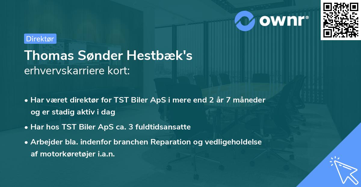 Thomas Sønder Hestbæk's erhvervskarriere kort
