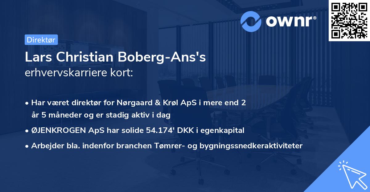 Lars Christian Boberg-Ans's erhvervskarriere kort