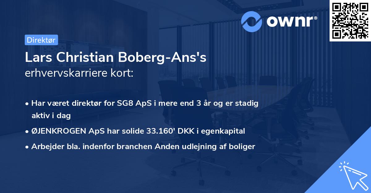 Lars Christian Boberg-Ans's erhvervskarriere kort