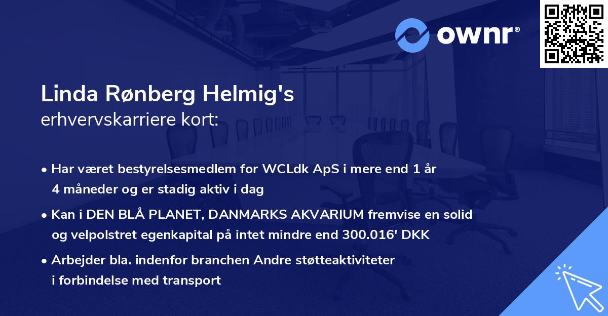 Linda Rønberg Helmig's erhvervskarriere kort
