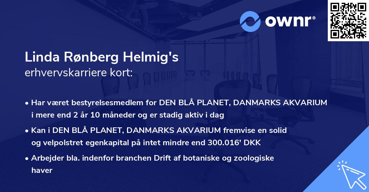 Linda Rønberg Helmig's erhvervskarriere kort