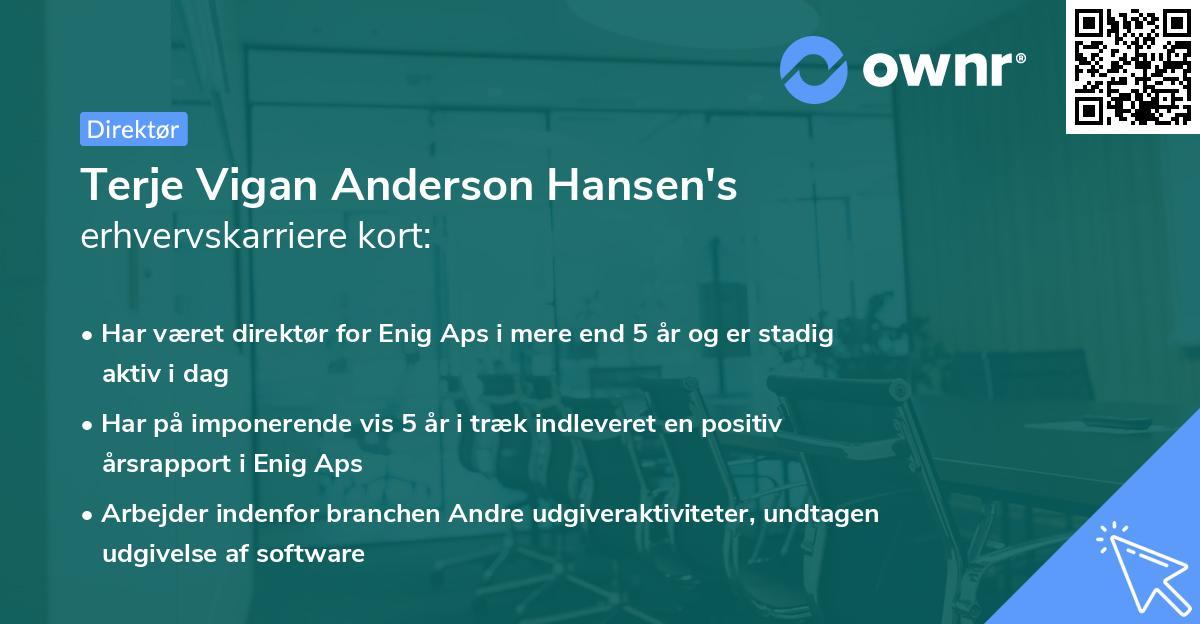 Terje Vigan Anderson Hansen's erhvervskarriere kort