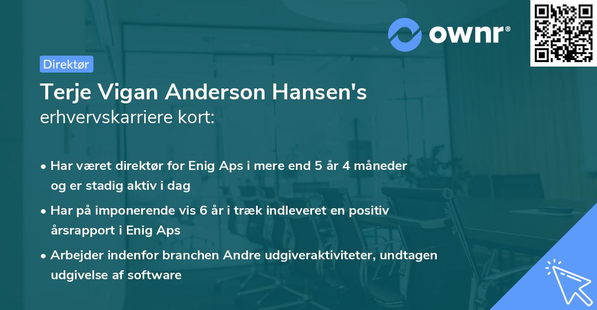 Terje Vigan Anderson Hansen's erhvervskarriere kort