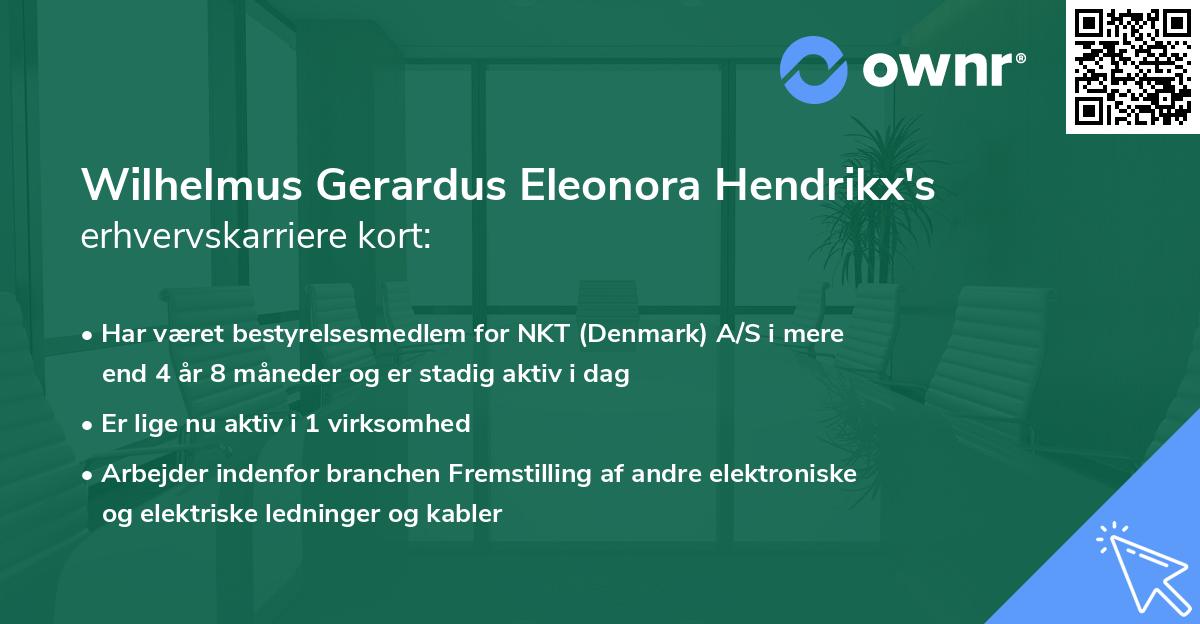 Wilhelmus Gerardus Eleonora Hendrikx's erhvervskarriere kort