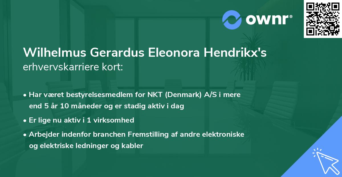 Wilhelmus Gerardus Eleonora Hendrikx's erhvervskarriere kort
