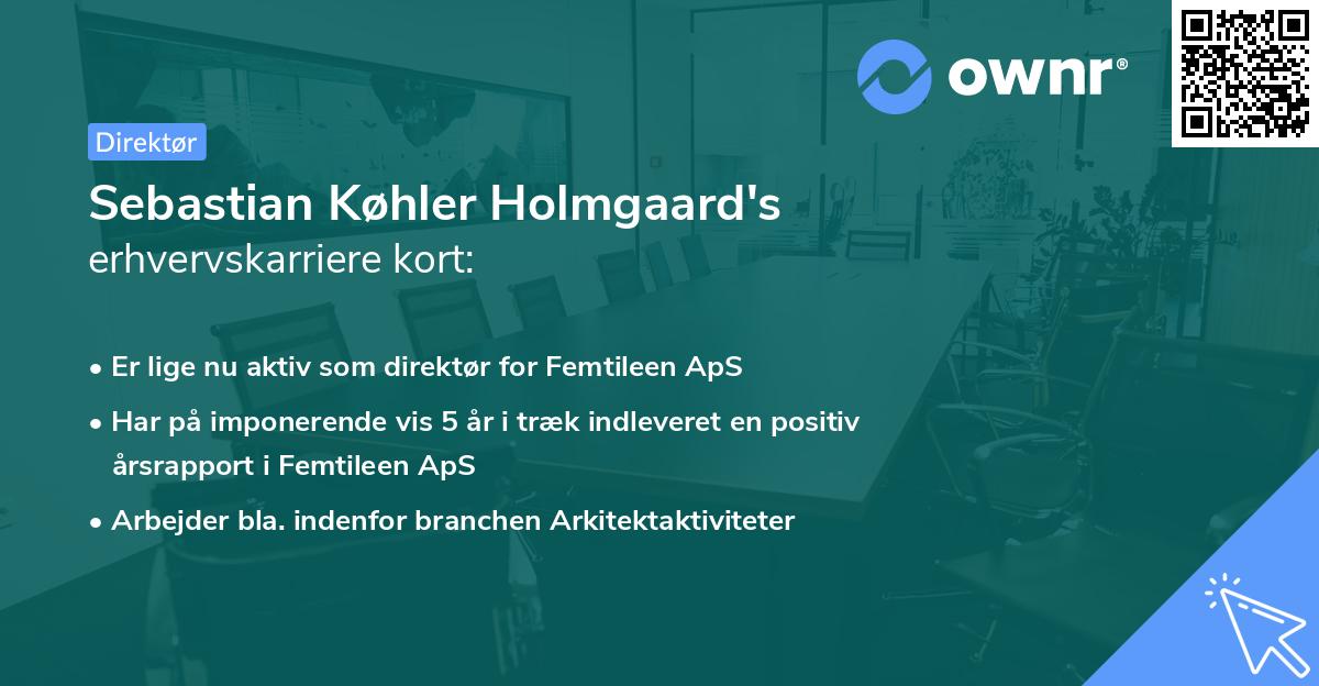 Sebastian Køhler Holmgaard's erhvervskarriere kort