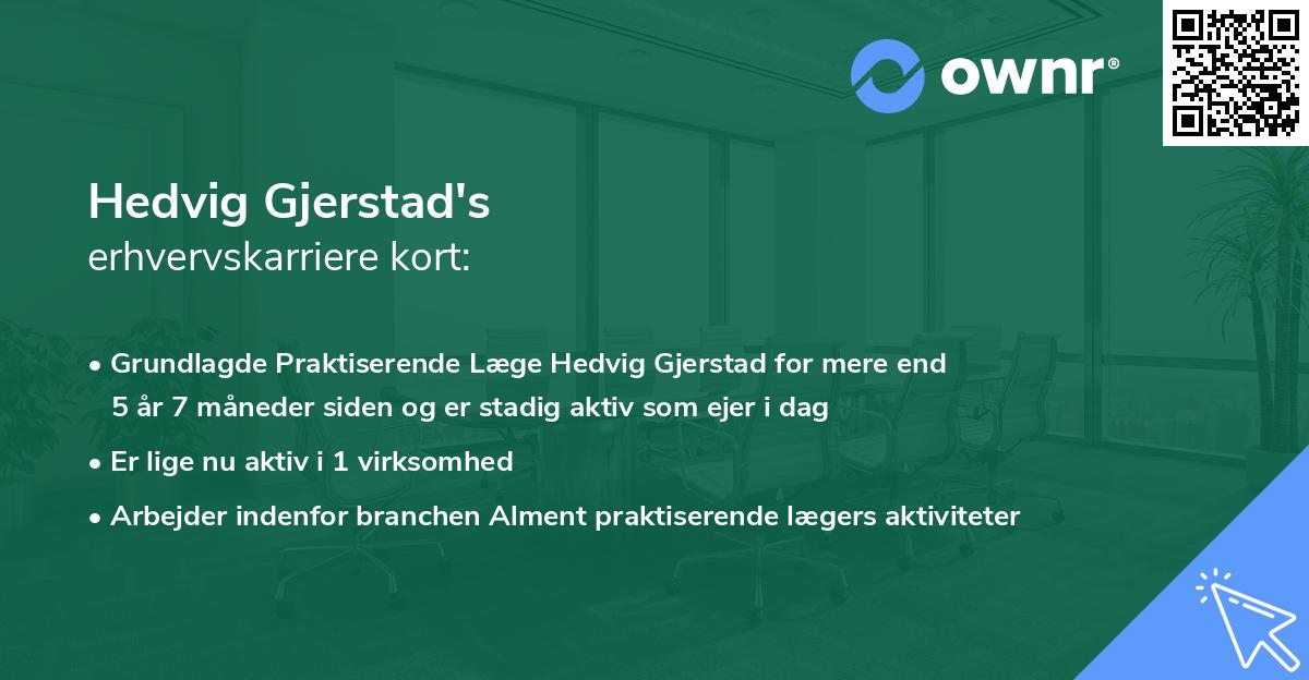 Hedvig Gjerstad's erhvervskarriere kort