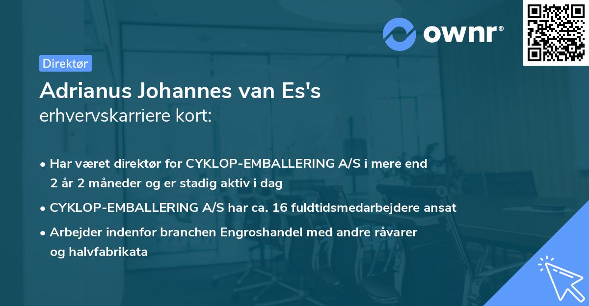 Adrianus Johannes van Es's erhvervskarriere kort