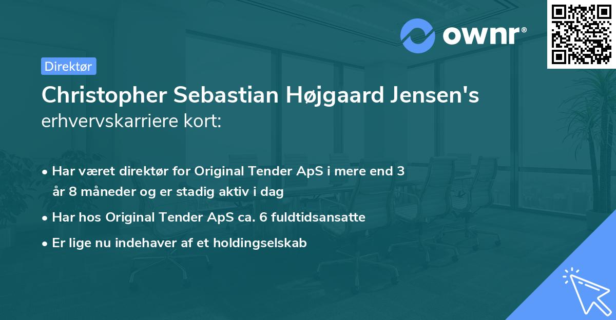Christopher Sebastian Højgaard Jensen's erhvervskarriere kort