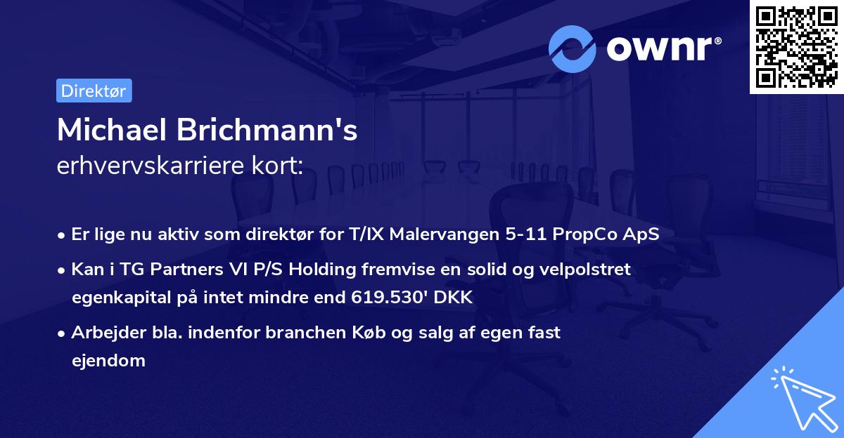 Michael Brichmann's erhvervskarriere kort