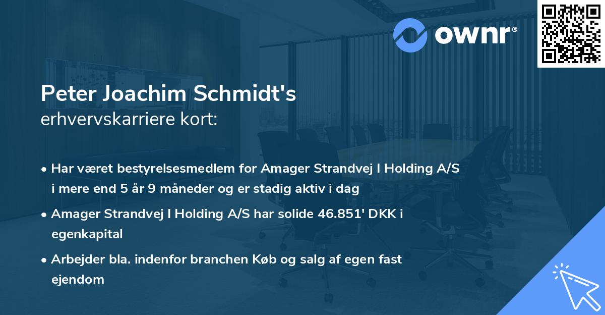 Peter Joachim Schmidt's erhvervskarriere kort