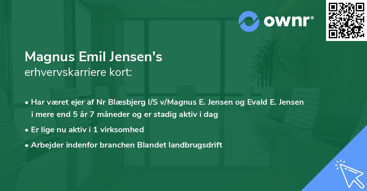 Magnus Emil Jensen's erhvervskarriere kort