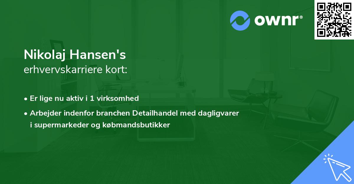 Nikolaj Hansen's erhvervskarriere kort