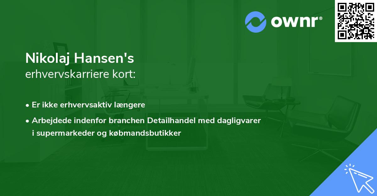 Nikolaj Hansen's erhvervskarriere kort