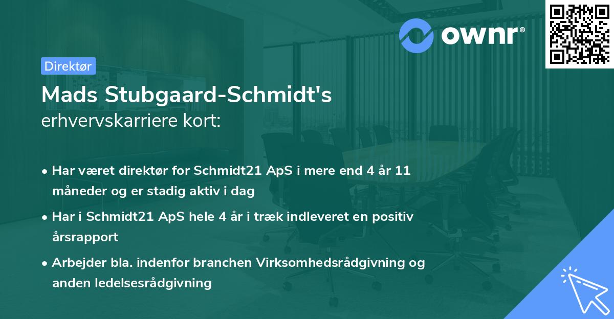 Mads Stubgaard-Schmidt's erhvervskarriere kort