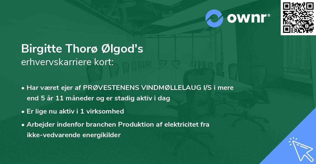 Birgitte Thorø Ølgod's erhvervskarriere kort