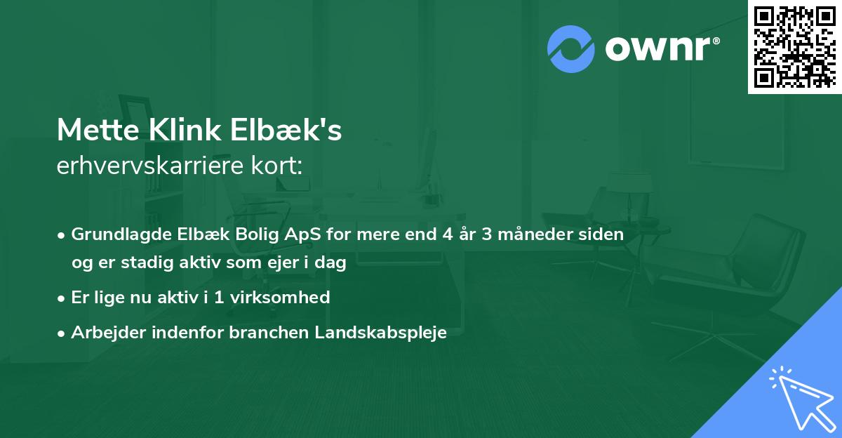 Mette Klink Elbæk's erhvervskarriere kort