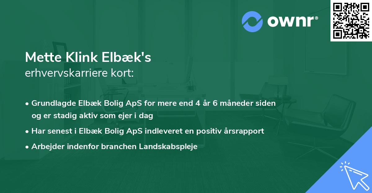 Mette Klink Elbæk's erhvervskarriere kort