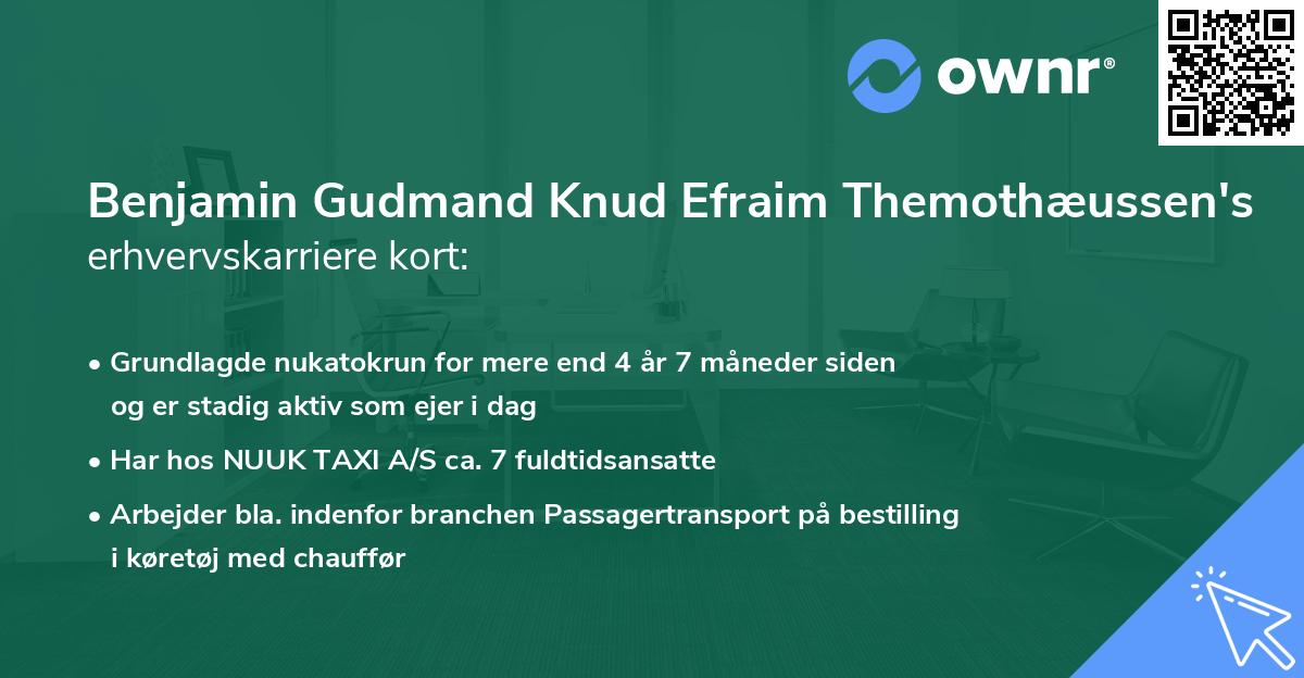 Benjamin Gudmand Knud Efraim Themothæussen's erhvervskarriere kort