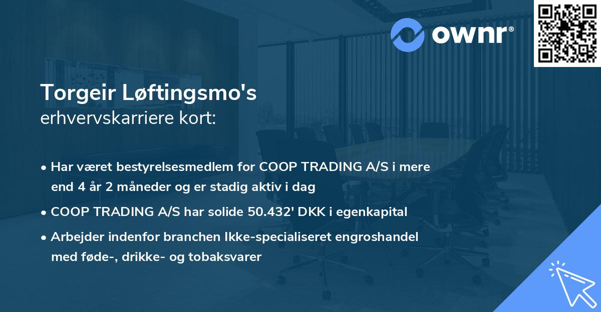 Torgeir Løftingsmo's erhvervskarriere kort