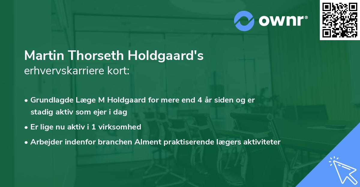 Martin Thorseth Holdgaard's erhvervskarriere kort