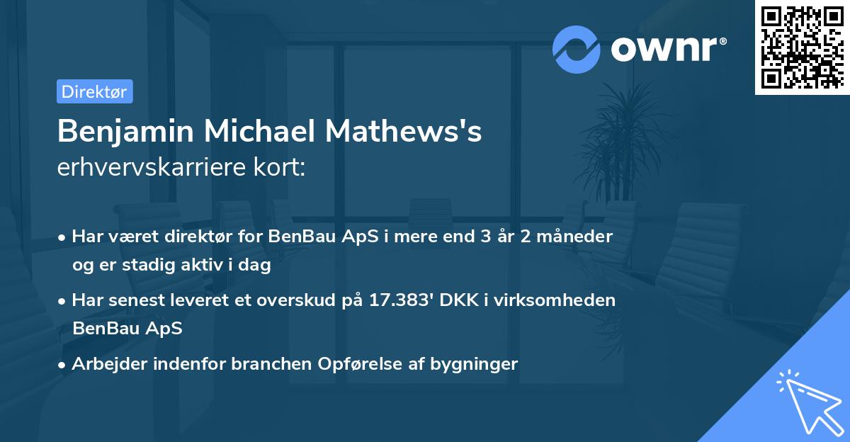 Benjamin Michael Mathews's erhvervskarriere kort