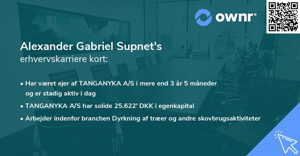 Alexander Gabriel Supnet's erhvervskarriere kort